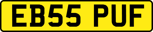 EB55PUF