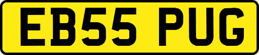 EB55PUG
