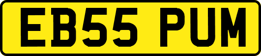 EB55PUM