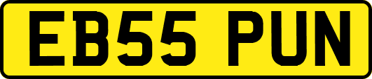 EB55PUN