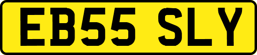 EB55SLY