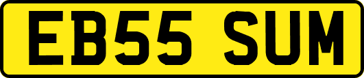 EB55SUM