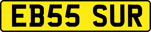 EB55SUR