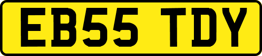 EB55TDY