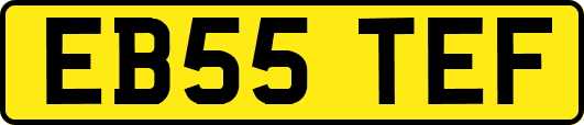 EB55TEF