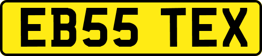 EB55TEX