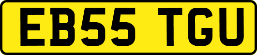 EB55TGU