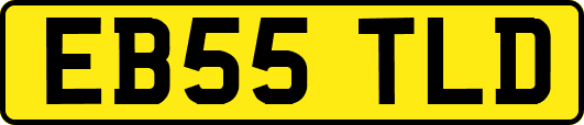 EB55TLD