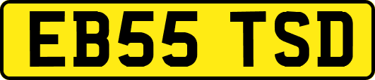 EB55TSD