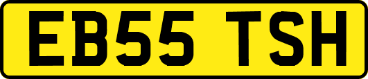 EB55TSH