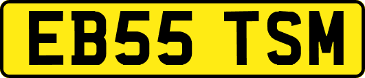 EB55TSM