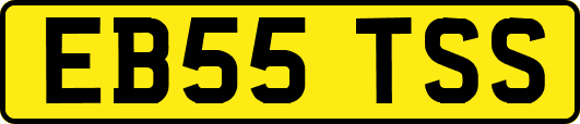 EB55TSS