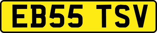 EB55TSV
