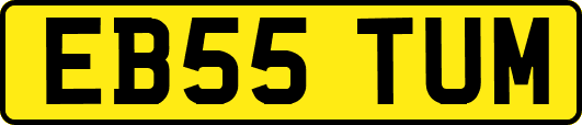 EB55TUM