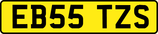 EB55TZS