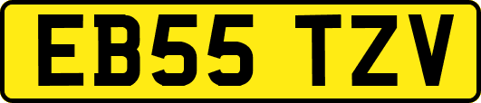 EB55TZV