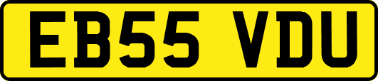 EB55VDU