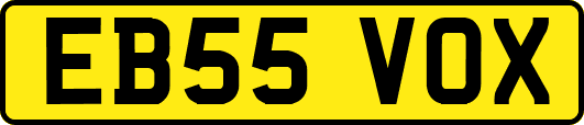 EB55VOX