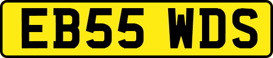 EB55WDS