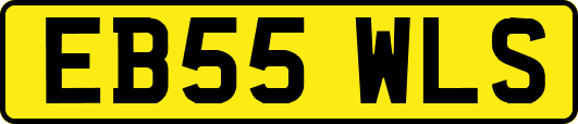 EB55WLS