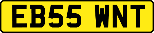 EB55WNT