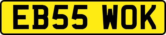 EB55WOK