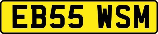 EB55WSM