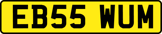 EB55WUM