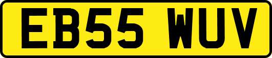 EB55WUV
