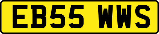EB55WWS