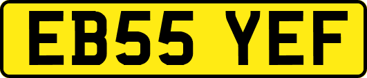 EB55YEF