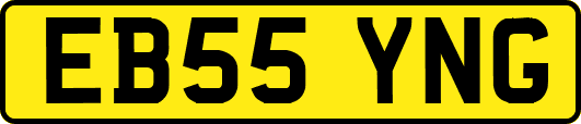 EB55YNG
