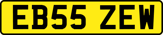 EB55ZEW