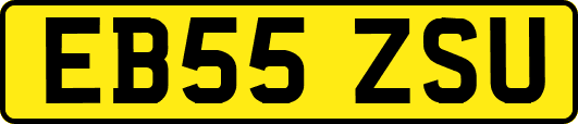 EB55ZSU
