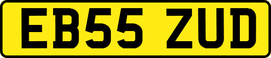 EB55ZUD