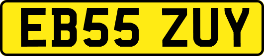 EB55ZUY