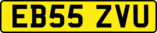EB55ZVU