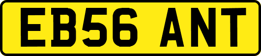 EB56ANT