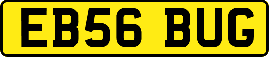 EB56BUG