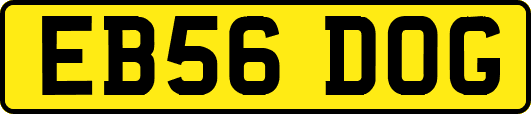 EB56DOG