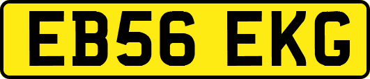 EB56EKG