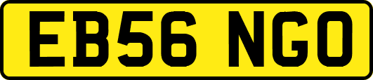 EB56NGO