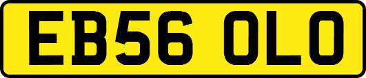EB56OLO