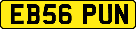 EB56PUN