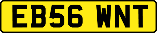 EB56WNT