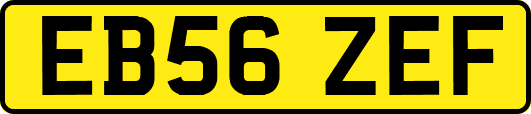 EB56ZEF