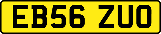 EB56ZUO