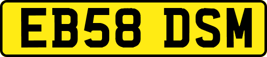 EB58DSM