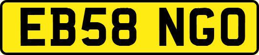 EB58NGO
