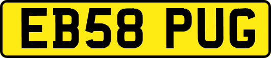 EB58PUG